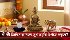 পকেটে টাকা ঢুকলেই শেষ? সৌভাগ্য ফেরাতে শুক্রবার ঘরে আনুন এই ৫টি জিনিস