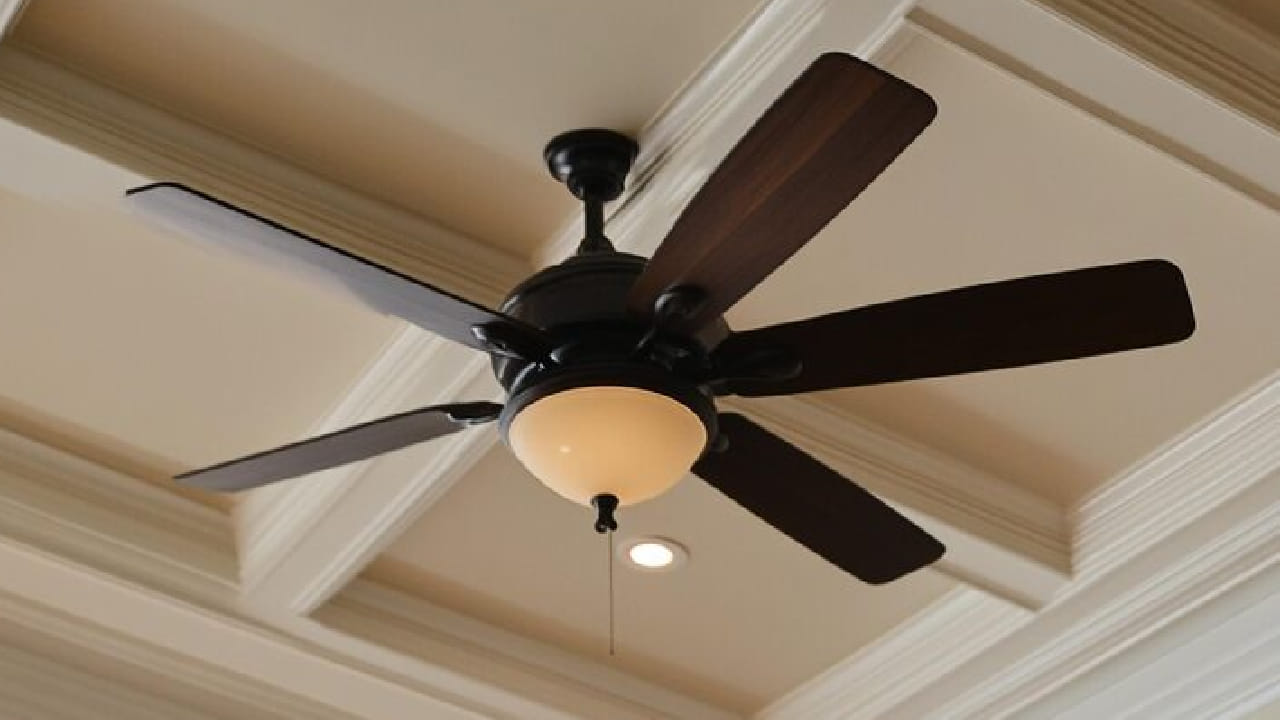 গরমের সময় অন্তত ১৫-২০ দিন অন্তর ফ্যান পরিষ্কার রাখা ভালো। এতে ঘর পরিচ্ছন্ন থাকে এবং মোটরও দীর্ঘ সময় ভালো সার্ভিস দেয়। আজই এই সহজ পদ্ধতিটি ট্রাই করে দেখুন! Free Pik