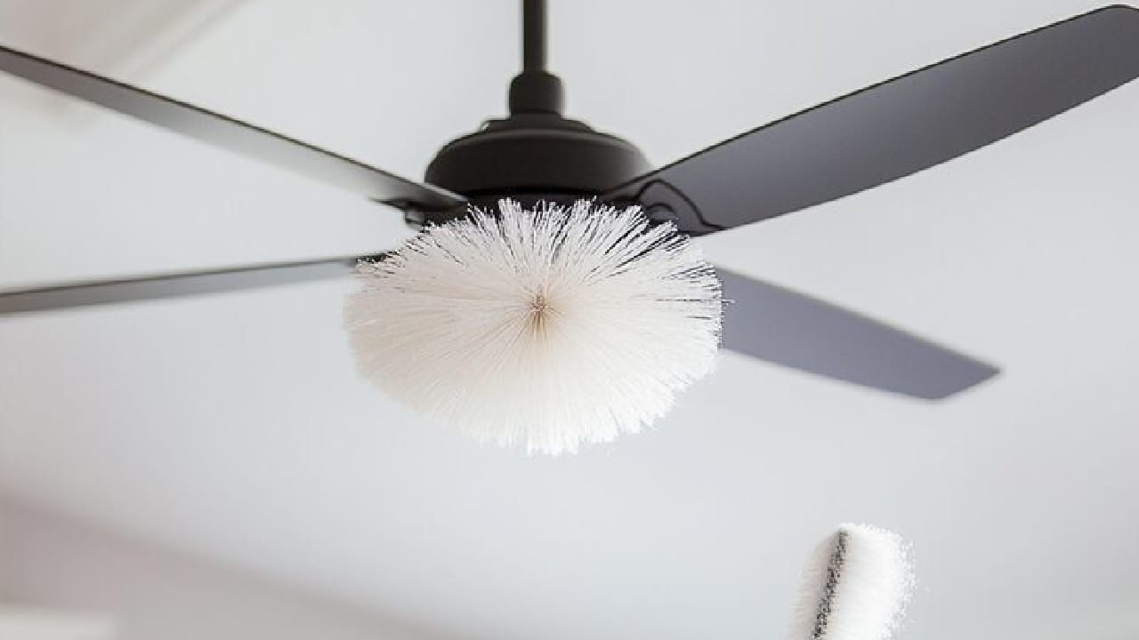 কখনও খুব ভেজা কাপড় দিয়ে ফ্যান মুছবেন না, এতে মোটরে জল ঢোকার ঝুঁকি থাকে। ভেজা কাপড় ব্যবহারের পর ফ্যান না শুকানো পর্যন্ত সুইচ অন করবেন না। এতে ব্লেডে জং ধরার ভয়ও কমে। Free Pik