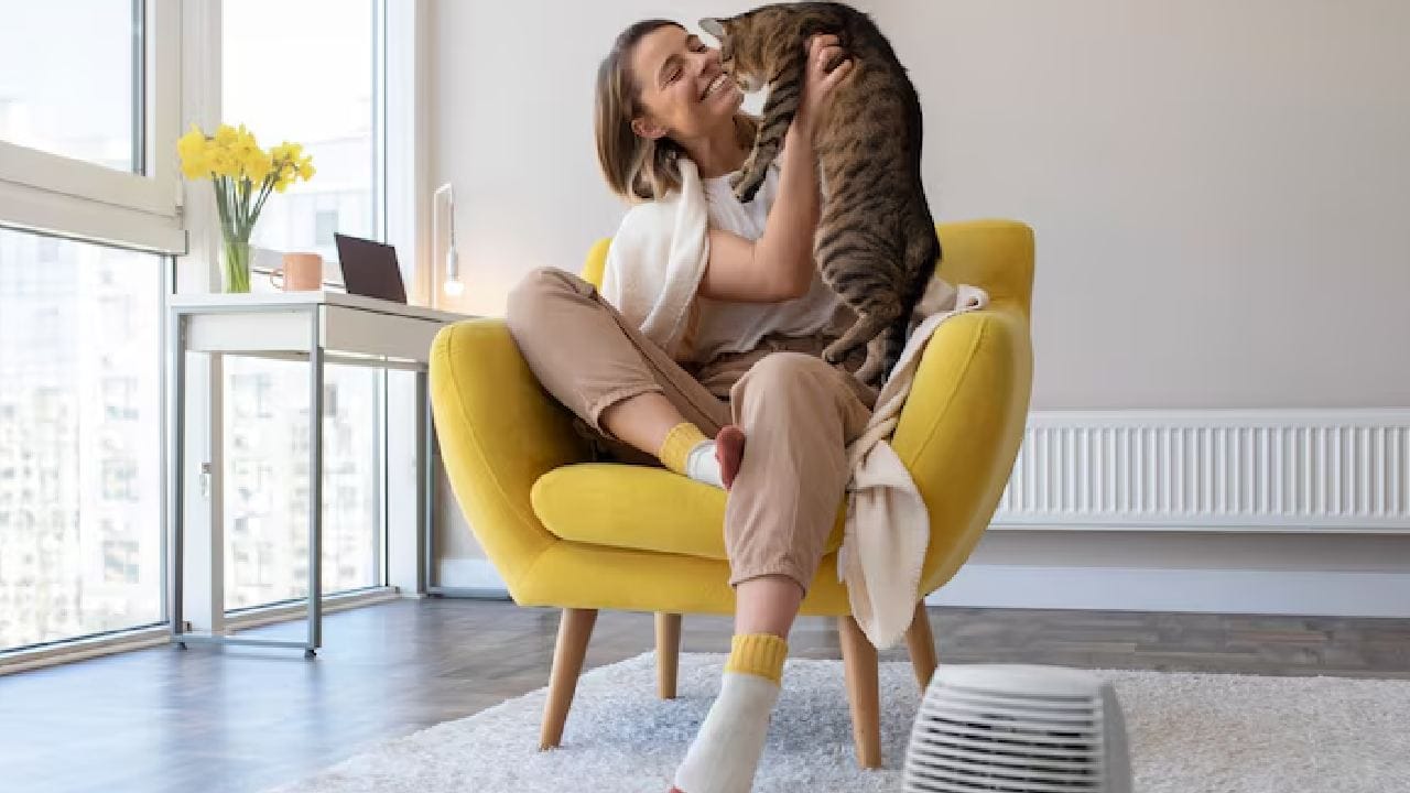 আরামদায়ক ঘুম জরুরি, কিন্তু তার চেয়েও বেশি মূল্যবান আপনার জীবন। গ্রীষ্মের শীতলতা উপভোগ করুন সঠিক রক্ষণাবেক্ষণ এবং সচেতনতার সঙ্গে। সতর্ক থাকলেই আপনার বাড়ি থাকবে নিরাপদ এবং দুর্ঘটনা মুক্ত। Free Pik