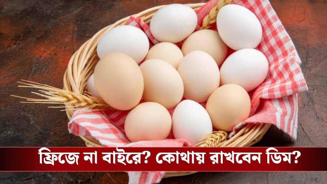 গরমের দাপটে পচে যাবে না তো ডিম? ডিম বাঁচান এভাবে