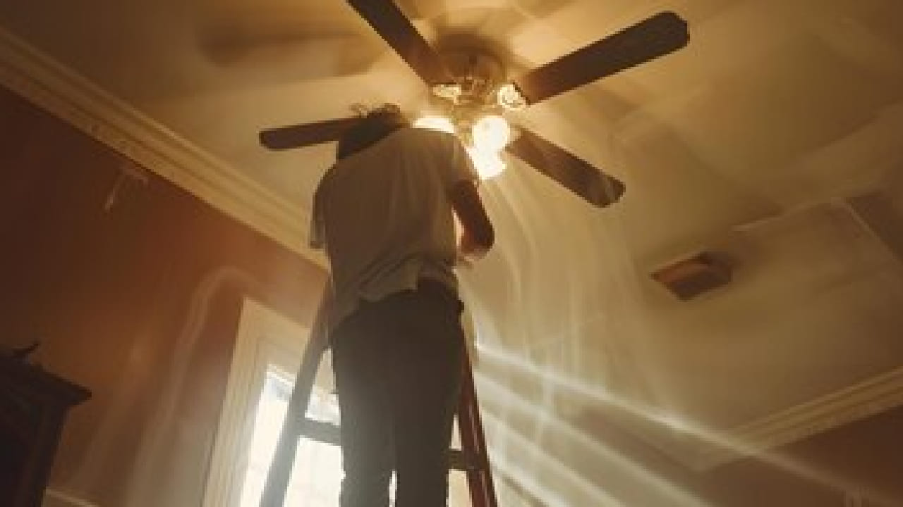 সিঁড়ি বা টুলে উঠে বালিশের একটি পুরনো কভার নিন। এই পদ্ধতিতে মেঝেতে ধুলো পড়ার ভয় একদম থাকে না। ফ্যান পরিষ্কার করার এটি সবথেকে আধুনিক এবং সহজ উপায়। Free Pik