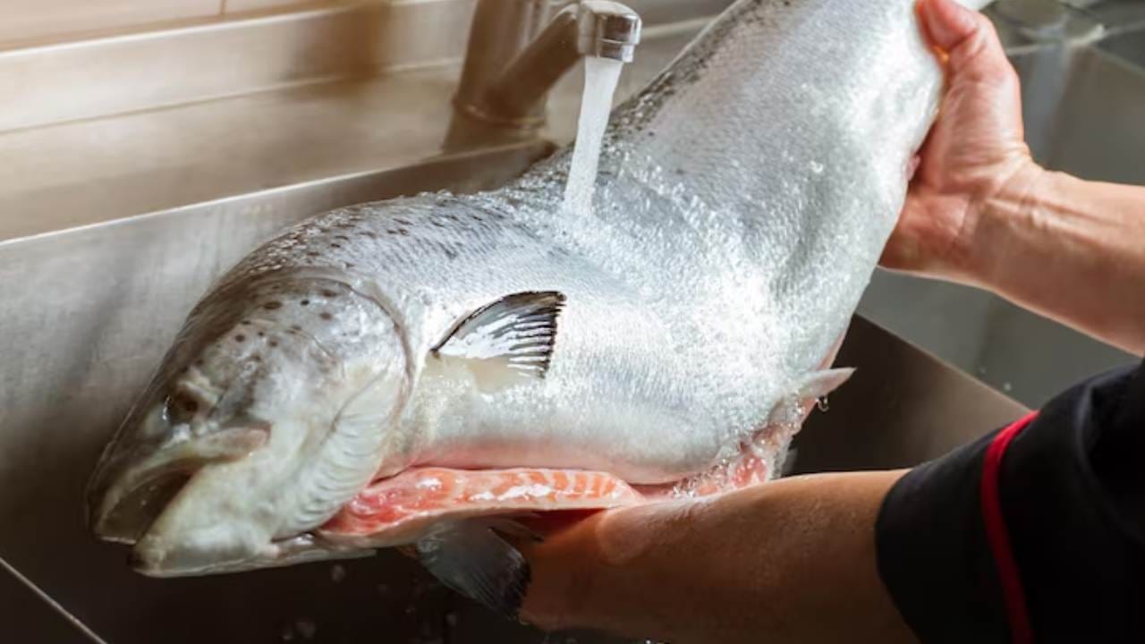 তেলে দেওয়ার আগে মাছের গা খুব ভালো করে মুছে নিন। জলের কণা গরম তেলের সংস্পর্শে এলে তা ফুটন্ত অবস্থায় চারদিকে ছিটকে যায়। তাই মাছ ধোয়ার পর জল ঝরিয়ে শুকনো কাপড় বা টিস্যু দিয়ে মুছে নেওয়া সবথেকে জরুরি কাজ। Free pik