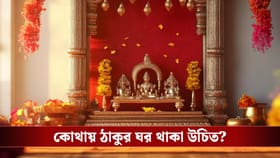 ঠাকুরঘরের এই ছোট ভুলগুলো ডেকে আনছে না তো চরম অমঙ্গল?