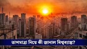 তীব্র তাপপ্রবাহ আসছে, ২০৫০ সালের আগেই সতর্কবার্তা বিশ্বব্যাঙ্কের!