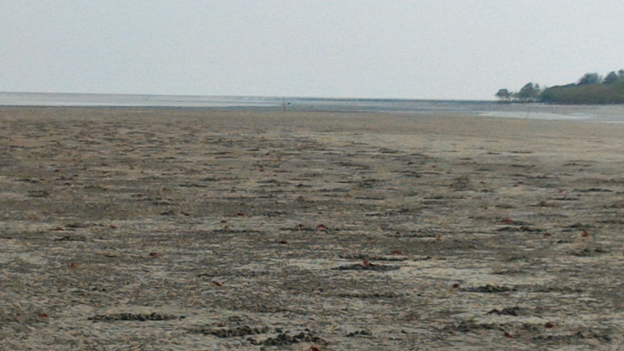 হেনরি আইল্যান্ড : ম্যানগ্রোভ অরণ্য আর সাদা বালির সমুদ্র সৈকত দেখতে হলে হেনরি আইল্যান্ড আপনার জন্য পারফেক্ট।  - Wikipedia