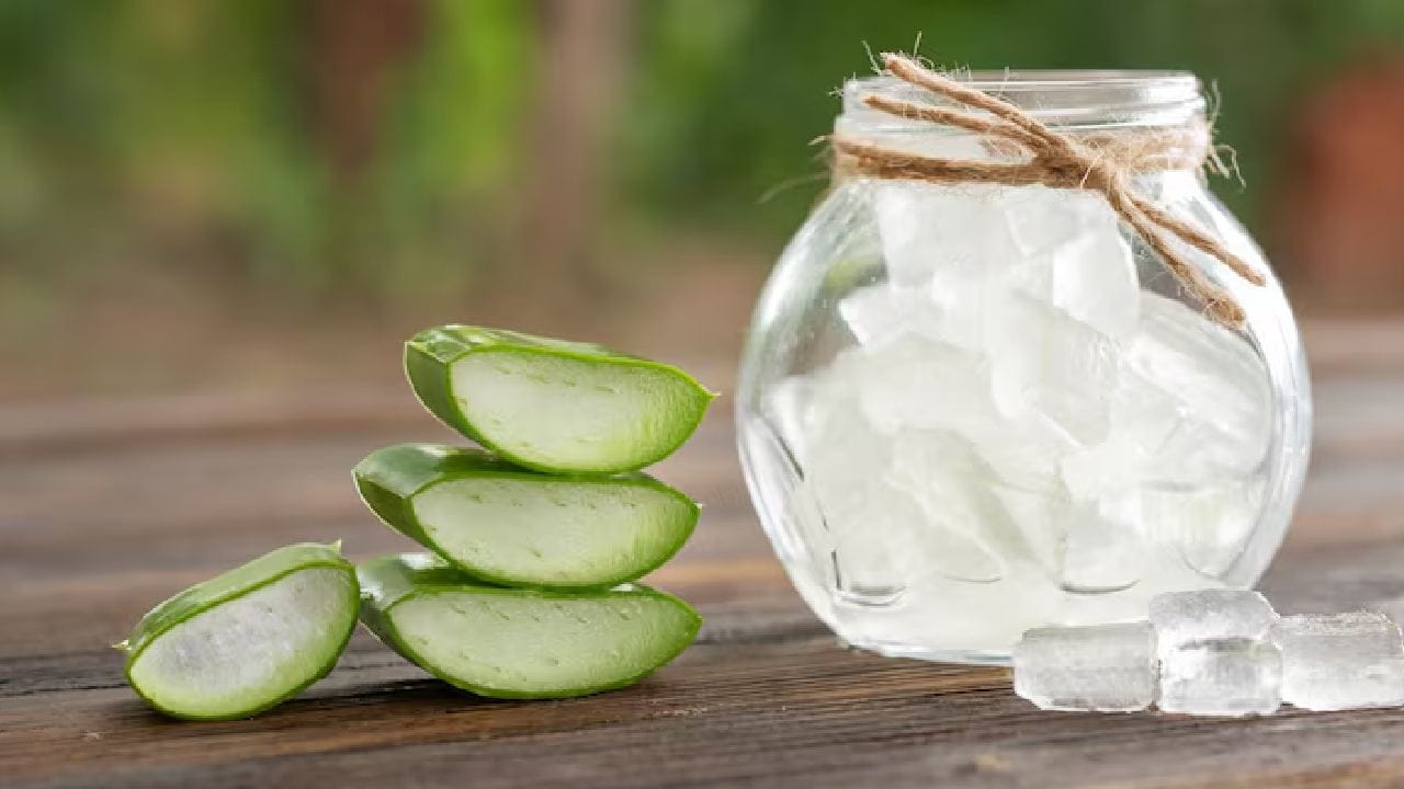 তুলসী পাতা ত্বককে ভেতর থেকে ঠান্ডা করে এবং ব্যাকটেরিয়া নাশ করে। অ্যালোভেরা জেল ত্বকের আর্দ্রতা ধরে রেখে জ্বালাভাব বা র‍্যাশ কমাতে সাহায্য করে। এই মিশ্রণটি নিয়মিত ব্যবহারে ব্রণর প্রকোপ অনেকটা কমে যায়। Free Pik