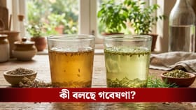 Blood sugar control: জিরে না মৌরির জল? ডায়েবেটিস রোগীদের জন্য সেরা কো