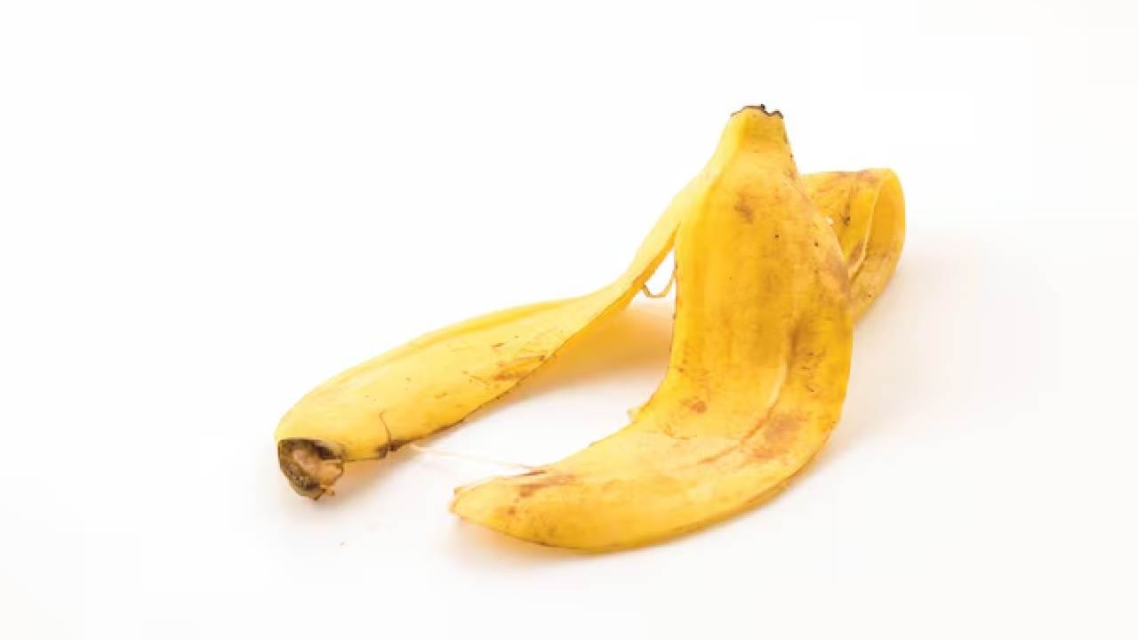 ফেলে দেওয়া কলার খোসাও আপনার কনুইয়ের উজ্জ্বলতা ফেরাতে পারে। কনুইয়ের ওপর সামান্য বেকিং সোডা ছড়িয়ে কলার খোসার ভেতরের অংশ দিয়ে ঘষুন। এতে থাকা প্রাকৃতিক উপাদান জেদি কালো দাগ দূর করতে সাহায্য করে। Free pik