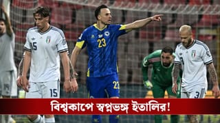 Italy : বিশ্বকাপ কোয়ালিফায়ারে অঘটন, ইতিহাস গড়ল বসনিয়া-হার্জেগোভিনা!