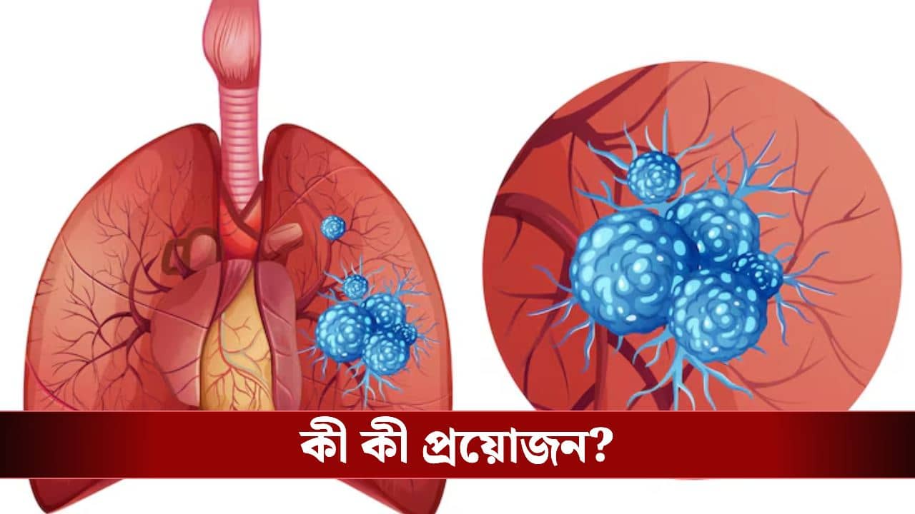 সিঁড়ি দিয়ে উঠলে কি দম ফুরিয়ে যাচ্ছে? ফুসফুস ঠিক আছে কিনা দেখে নিন বাড়িতেই
