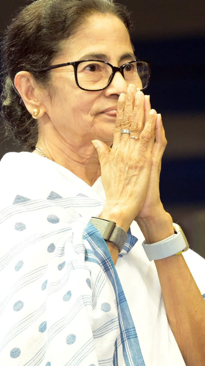 'কত বড় নেতা হয়েছেন যে কথা শুনবেন না?', ধমক মমতার