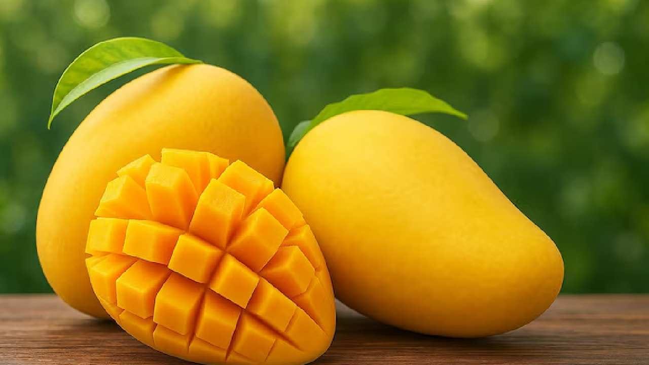 আমের খোসা থেকে আঁটি পর্যন্ত ব্যবহার করলে অপচয় যেমন কমে, তেমনই খাওয়ার পাতেও আসে বৈচিত্র্য। এই গরমে আম খাওয়ার চিরাচরিত অভ্যেস বদলে ট্রাই করে দেখুন এই ঘরোয়া রেসিপিগুলো। আমের প্রতিটি অংশই হয়ে উঠবে আপনার রসনার তৃপ্তি। Free Pik