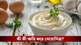 নিষিদ্ধ মেয়োনিজ! কড়া পদক্ষেপ সরকারের