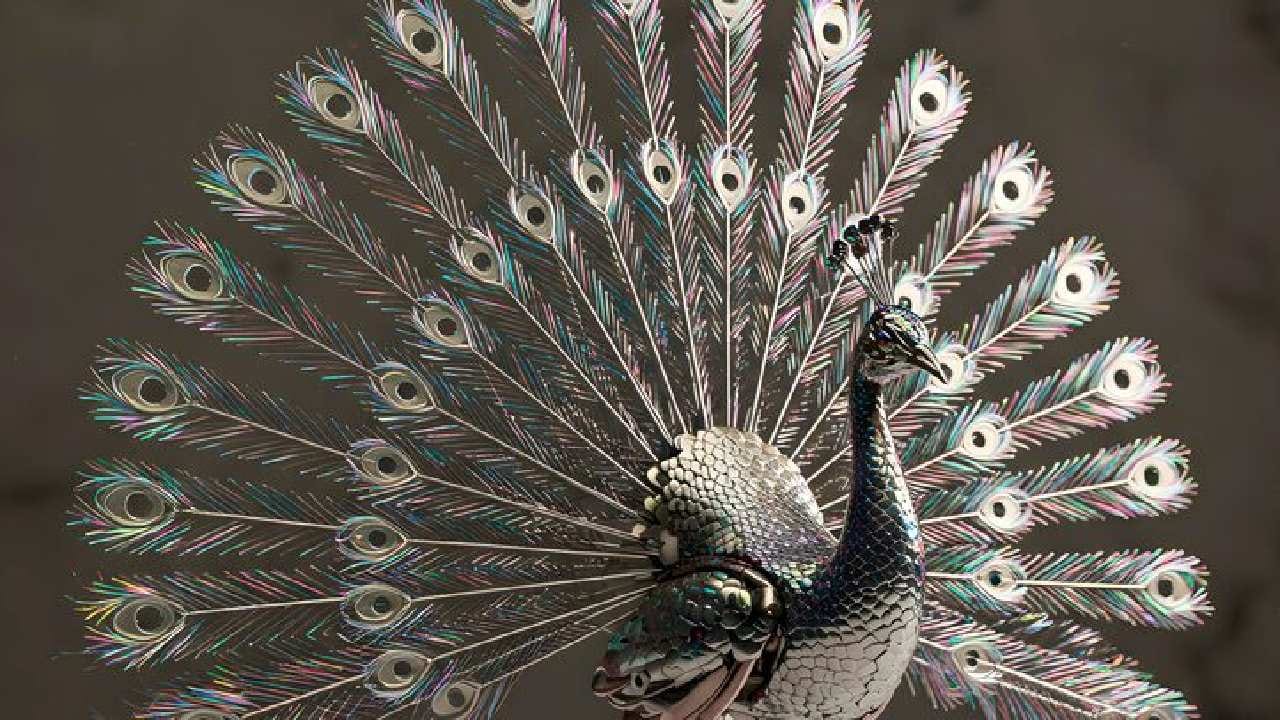 কথায় বলে, বিশ্বাসে মেলায় বস্তু। আর সেই বিশ্বাসের ওপর ভর করেই বাঙালির অন্দরমহলে চিরকাল ঠাঁই পেয়েছে নানা বাস্তু টোটকা। জ্যোতিষ ও বাস্তুশাস্ত্রে আর্থিক অনটন দূর করতে বা সংসারে শান্তি ফেরাতে ইদানীং রুপোর ময়ূরের কদর বেড়েছে। Free Pik