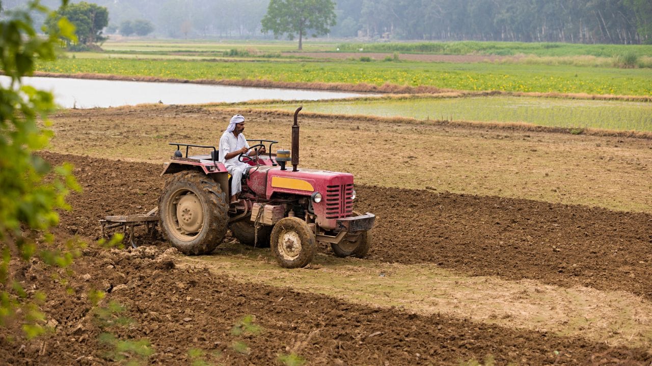 রাজস্বের উপর চাপ থাকা সত্ত্বেও সার ও জ্বালানি মজুত রাখতে হবে ও তা নিশ্চিত করতে হবে সরকারকে। বর্তমানে পরিস্থিতি গভীর কিন্তু তবুও সরকার চড়া দামে সার কিনলেও তার প্রভাব কৃষকদের উপর পড়তে দেবেনা। (Getty Images)