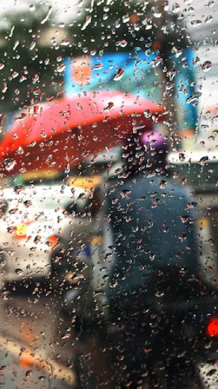 কালবৈশাখীর ঝড়ে স্বস্তি বঙ্গে! আগামী দুদিন বৃষ্টির কমলা সতর্কতা জারি