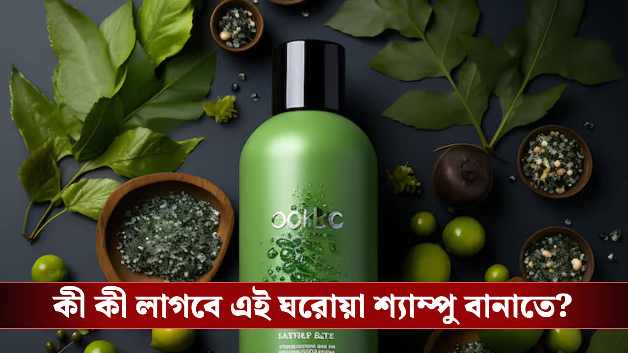২০ টাকাতেই কেল্লাফতে! কেমিক্যালের হাত থেকে চুল বাঁচাতে বাড়িতেই বানান এই শ্যাম্পু
