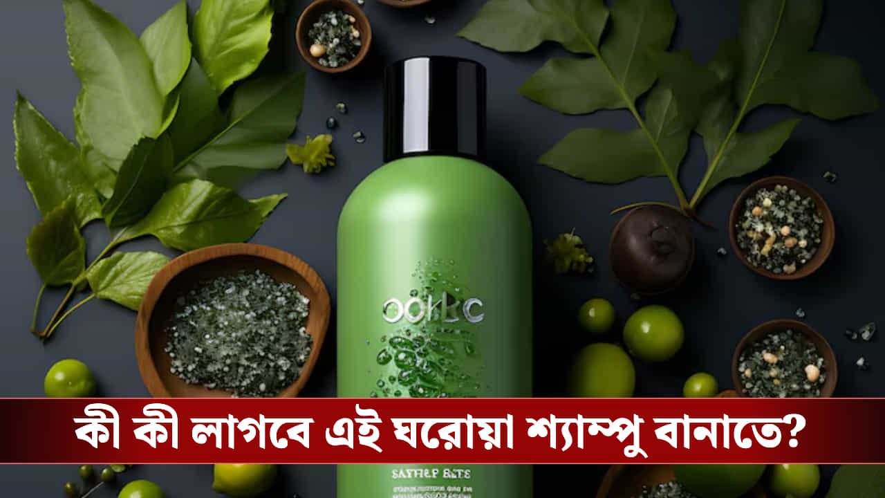 ২০ টাকাতেই কেল্লাফতে! কেমিক্যালের হাত থেকে চুল বাঁচাতে বাড়িতেই বানান এই শ্যাম্পু