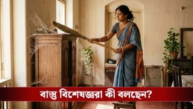 ঘরের কোণে মাকড়সার জাল? অজান্তেই ডেকে আনছেন না তো চরম বাস্তু-বিপদ!