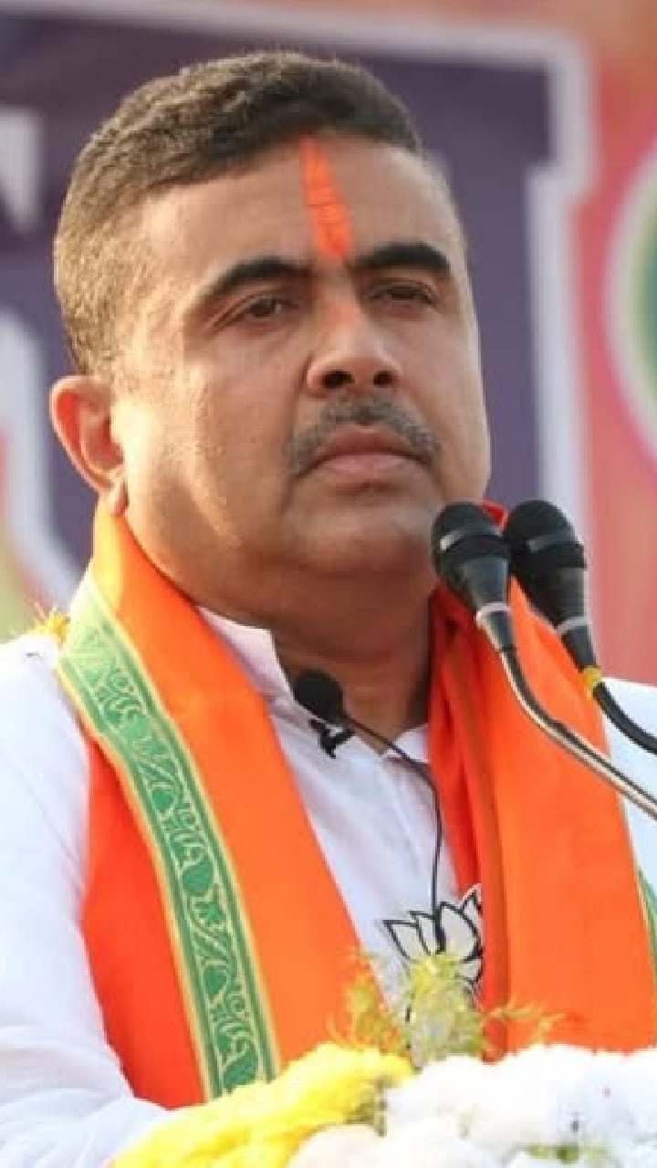 'উনি দ্বিতীয়বার হারবেন', ভোটের ময়দানে দাঁড়িয়ে হুঙ্কার শুভেন্দুর