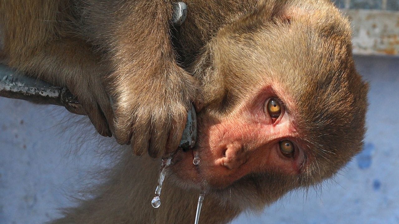  আজ ও আগামিকাল উষ্ণ-আর্দ্র আবহাওয়ার সতর্কতা জারি করা হয়েছে। ৪০ ডিগ্রি সেলসিয়াস ছুঁতে পারে পশ্চিমাঞ্চলের পারদ। 