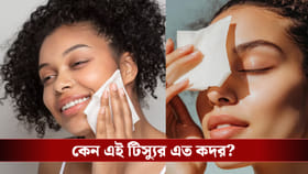 প্যাচপ্যাচে গরমে ওয়েট টিস্যুই কি ভরসা? ত্বক বাঁচান এভাবে