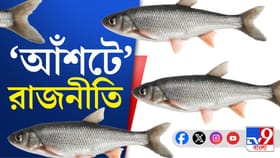 ভোটে মাছ নিয়ে টানাপোড়েন, কুলতলির মৎস্যজীবীদের গ্রামের ছবি কী বলছে?