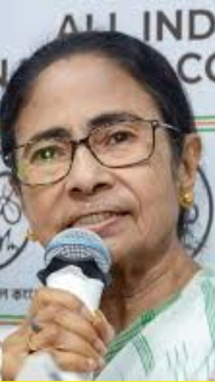 কত সংস্থার মাথায় বসে ছিলেন মমতার ভাই-দাদা, দেখুন