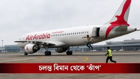 দুই বার বমি, চলন্ত বিমান থেকে ঝাঁপ ব্যক্তির, চেন্নাইয়ে আতঙ্ক