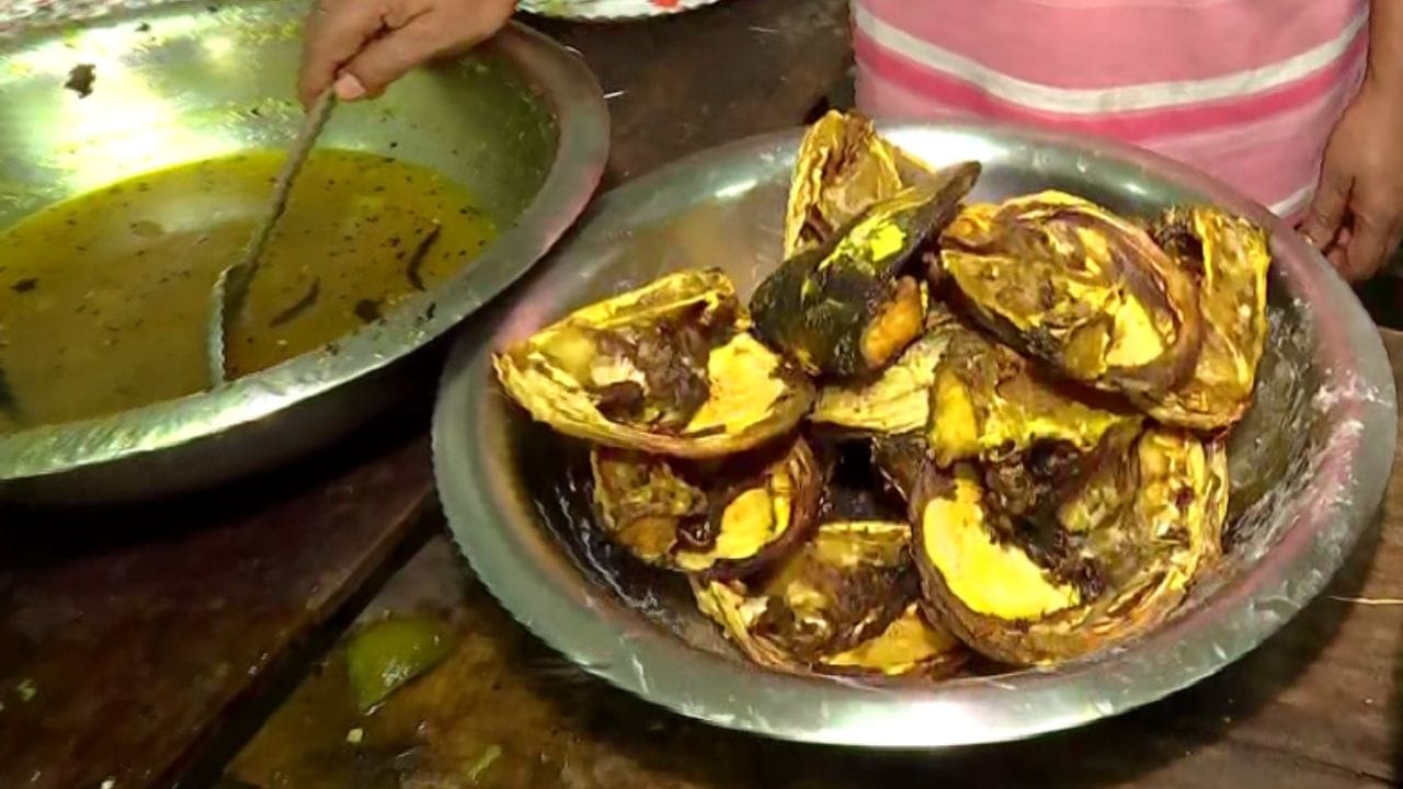 চলতি বছরের নির্বাচনে এবার মৎস্য রাজনীতি দেখেছে বাংলা। বারবার তৃণমূল দাবি করেছে, বিজেপি সরকারে এলে মাছ-মাংস খেতে দেবে না। আর সেই তত্ত্ব ভাঙতেই মাছ নিয়ে প্রচার করতে দেখে গিয়েছে বিজেপিকে।