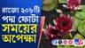 দ্বিতীয় স্থানে CPIM, বিজেপির থেকে কতটা পিছিয়ে তৃণমূল?