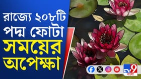 দ্বিতীয় স্থানে CPIM, বিজেপির থেকে কতটা পিছিয়ে তৃণমূল?