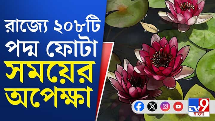 Falta Vote Result: দ্বিতীয় স্থানে CPIM, বিজেপির থেকে কতটা পিছিয়ে তৃণমূল? Falta Vote Result: দ্বিতীয় স্থানে CPIM, বিজেপির থেকে কতটা পিছিয়ে তৃণমূল?