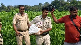 পাটখেতে তৃণমূলের গুপ্তধন! মাটি খুঁড়ে চক্ষু চড়কগাছ শুভেন্দু-পুলিশের