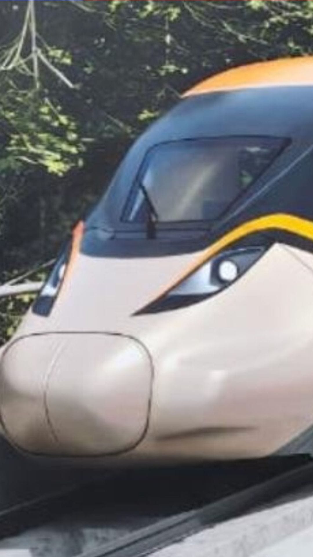 Bullet Train: মুম্বইয়ের পর শিলিগুড়ি... অপেক্ষায় ৬০ হাজার কোটি!