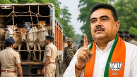 ক্ষমতায় এসেই গরু পাচার রুখতে কড়া পদক্ষেপ BJP সরকারের, কী নির্দেশ?