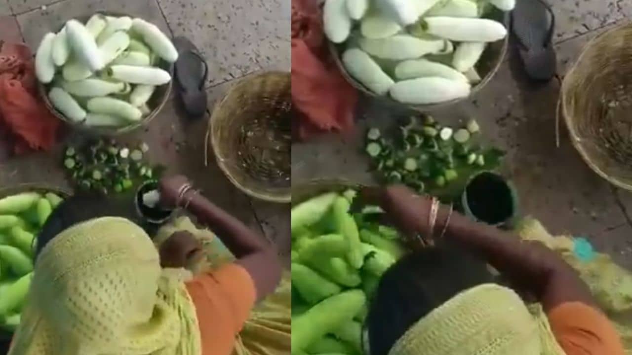 Train Station Viral Video: ট্রেন বা স্টেশন থেকে শশা কিনে খান? এই মহিলার কাণ্ড দেখলে আর কখনও খাবেন না...