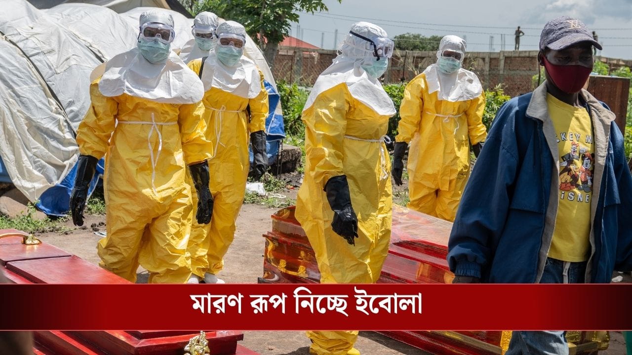 Ebola Virus: ইবোলা ভাইরাস নিয়ে ভারতেও জারি হয়ে গেল সতর্কতা, কী নির্দেশ দেওয়া হল?