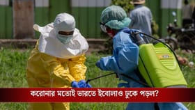 উগান্ডা থেকে আসা মহিলার শরীরে ইবোলার উপসর্গ, ভারতেও ঢুকে পড়ল ভাইরাস?