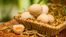 জেনে নিন ভালো ডিম, খারাপ ডিম কীভাবে চিনবেন