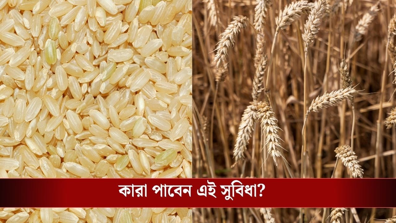 ফ্রি-তে মাসে পাওয়া যায় ৩৫ কেজি চাল-গম! সরকারি এই প্রকল্পের কথা জানেন? ফ্রি-তে মাসে পাওয়া যায় ৩৫ কেজি চাল-গম! সরকারি এই প্রকল্পের কথা জানেন?