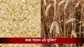 ফ্রি-তে মাসে পাওয়া যায় ৩৫ কেজি চাল-গম! সরকারি এই প্রকল্পের কথা জানেন?