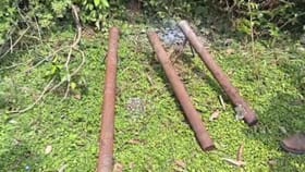 তৃণমূল নেতার পোলট্রি ফার্মে হাত কামান! চক্ষু চড়কগাছ