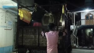 বেআইনি গরুপাচারের অভিযোগ, গ্রেফতার ৫