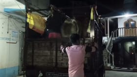 বেআইনি গরুপাচারের অভিযোগ, গ্রেফতার ৫