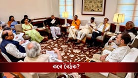 রাহুলের সঙ্গে যোগাযোগ, ভোটে ভরাডুবির পরই INDIA-র বৈঠকে যেতে পারেন মমতা