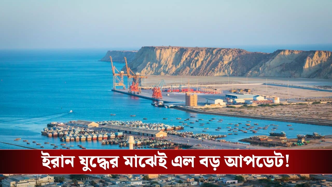 Strait of Hormuz: ইরানের জলপথে ডিজেল পাচার? গ্রেফতার হওয়া ভারতীয় নাবিকদের নিয়ে বড় সাফল্য ভারতের!