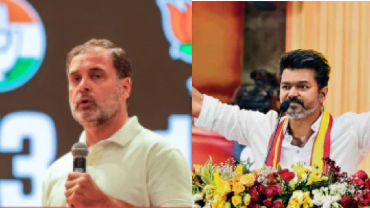 INDIA Alliance: থলপতিকে ফোন রাহুলের, স্ট্যালিনের সঙ্গে দূরত্ব!, ইন্ডিয়া জোটে কি এবার ভাঙন?