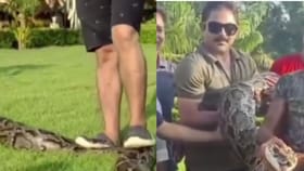 সিনেমার শুটিংয়ের মাঝে অজগরের গায়ে পা দিয়ে ছবি!